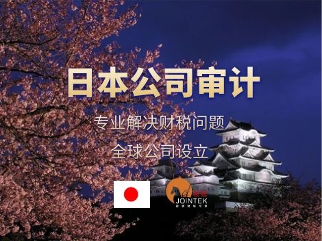 日本审计