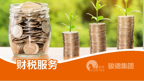 财税服务